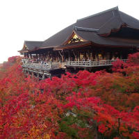 2021年・清水寺の紅葉と実話怪談「拝んではならない」　＠　京都妖怪探訪（８０２）