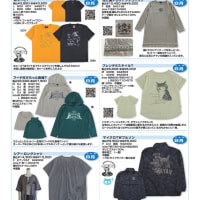 わちふぃーるど8月のカタログです