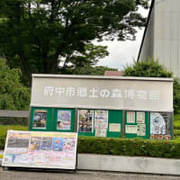 誕生日なので生まれ故郷の星を探しに行った。