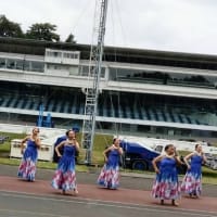 多摩湖サイクリングエボリューションに参加