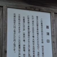 明治神宮御苑　　南池の高台に和式の隔雲亭　　　3