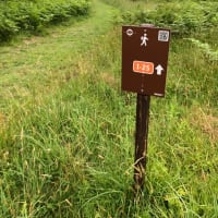 一の瀬トレイル