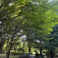 対人関係で観察眼はどう使う？