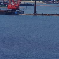 【拡散願います】【補正】大浦湾は、土曜日でもガンガン動いていた（20250531－①）