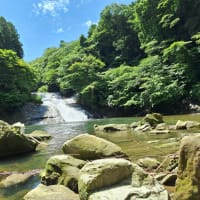 養老渓谷で森林浴