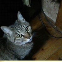 1999年7の月