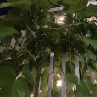 今日いち-2025年6月29日