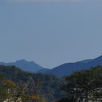 亀山公園カメラ散策