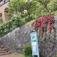★山手イタリア山庭園