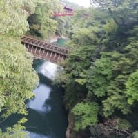 何処かに出かけよう