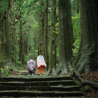 今年の夏も暑そうです！