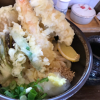 さぬきうどん@高松