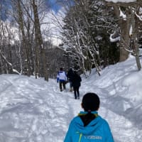 雪の戸隠神社
