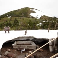 ２０２５年６月６日　北八甲田　仙人岱　地獄湯ノ沢のようす