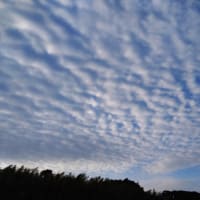 空　模様
