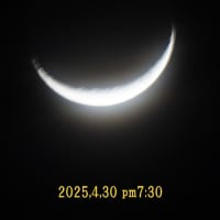 4月も今日でお終い ＆ ちっちゃな細い三日月 ＆ 大福