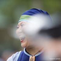 「上總組」原宿よさこい