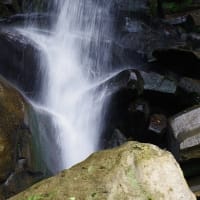 轟の滝（名護市）で、トンボを撮る（20240630）