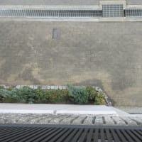 巳年巳月巳日巳刻のお参りと阿弖流為・母禮の碑