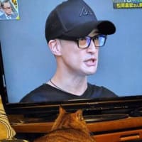 日陰のメリット(/・ω・)/