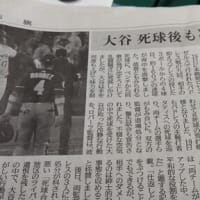大谷死球後も冷静ー「平和的な役割」と賛辞