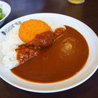 ココイチ香南野市店へ行こう