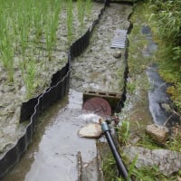 恵みの雨～７月のあれこれ～