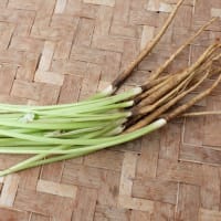 今週の野菜から ～6月〔2〕回目