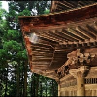 「安楽寺」の 国宝八角三重塔