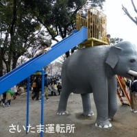 「象」と「かたつむり」～飛鳥山公園