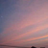 夕空　上司の思い出エピソード