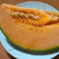 これも、親心！？