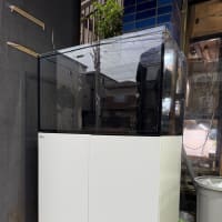 中古Red Sea REEFER250