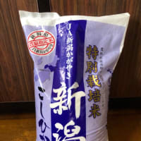 お米が無い