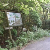 ネタを求めて、うろうろドライブ、、、