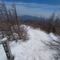須山口をトボトボ歩きました🚶
