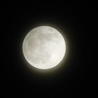 夢見る77歳が、満月を撮影したんだが。