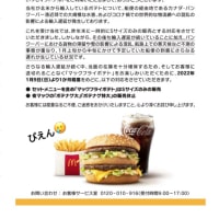 ここ最近で一番のぴえん「マックフライポテト」