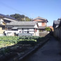 年末年始