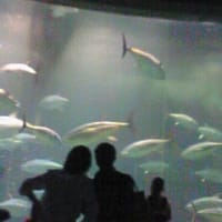ブログ未更新期間中の出来事♪