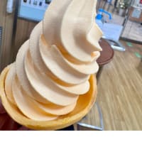今日いち-2025年6月16日ー北海道夕張メロンソフトー