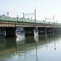 桜の瀬田川を行く名残りの緑の電車（１１７，１１３系）