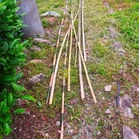 防獣柵を初めて金網にする