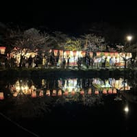 日和山公園にて「夜桜」