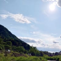 【釣】2025年の解禁日に銀影競技へこれでもかと魂が入る　（2025/06/01 　鮎　笹子川）