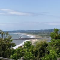 海の見える景色