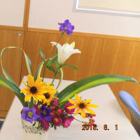 自由花です