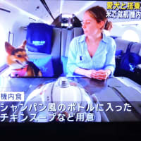 5/26 犬も同乗できる旅客機がアメリカでできたとか、できるとか