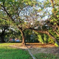 鈴の宮公園から堀上公園