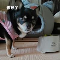 物忘れ